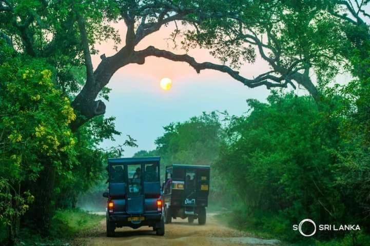 Kottamba Yala Stay & Safari Тисамахарама Екстериор снимка